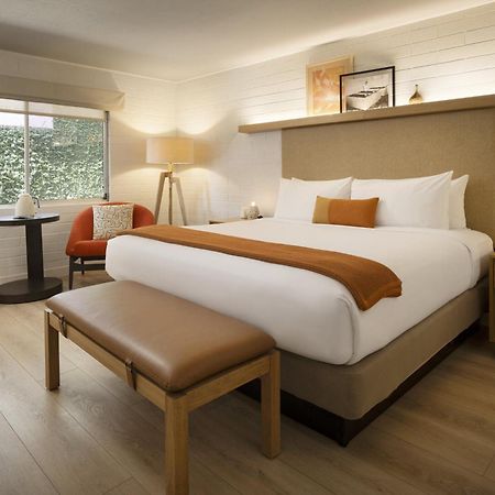 Dr Wilkinsons Backyard Resort And Mineral Springs A Member Of Design Hotels Calistoga Ngoại thất bức ảnh
